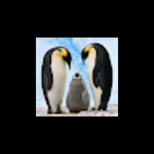 Meet your Posher, Abigail